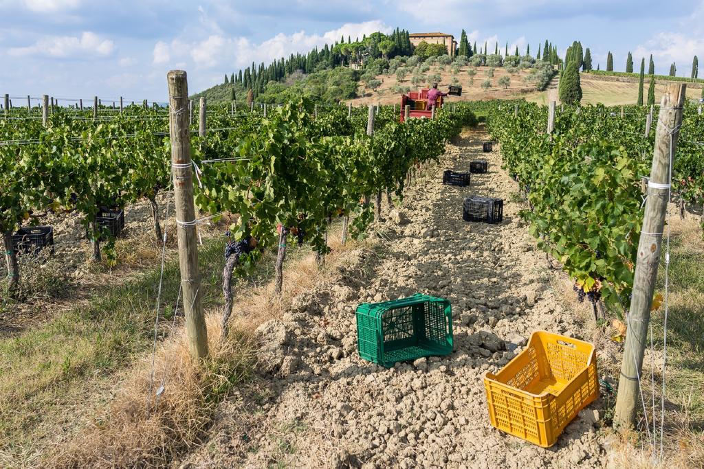 Argiano Dimore Wine Relais Eksteriør billede