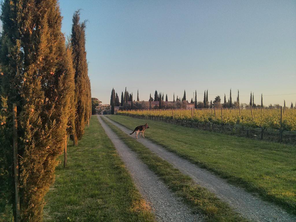 Argiano Dimore Wine Relais Eksteriør billede
